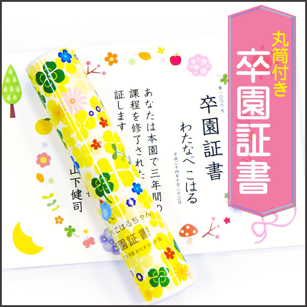 ランキング1位（丸筒付き）