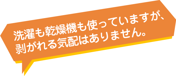 お客様からのレビュー