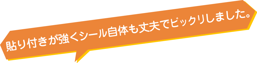 お客様からのレビュー